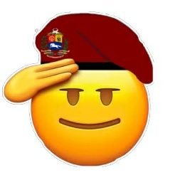 soy venezolano aquí estoy aguantando este vendaval 😎💯✋cada ves más fuerte mental y espiritual 🙏 . no quebraran mi dignidad 😎