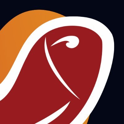 Full service app ontwikkelaar Fish on Fire ontwikkeld oplossingen voor iOS, Android, Windows en het web.