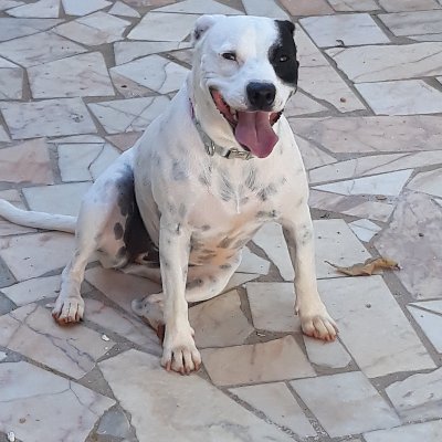 Cryptoworld_Joe's profile picture. 