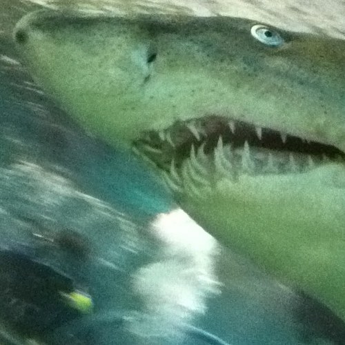 jocac4's profile picture. 