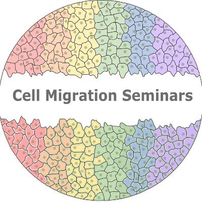 Weekly series on cell migration
Tuesdays 8AM PT/11AM ET/4PM UK/5PM CET

Organized by @Ankita_13Jha @drjenmitchel 
Formerly @adamshellard @simplythebex