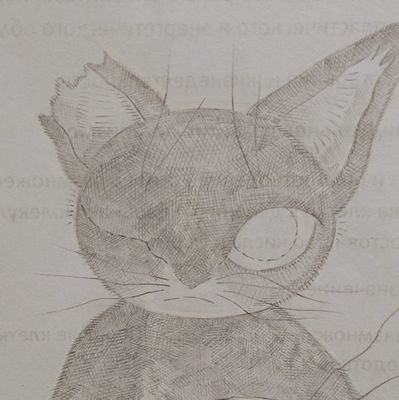 LiltileS's profile picture. 