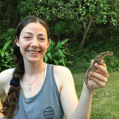 Phylogenomics, sex chromosome evolution, and all things🦎