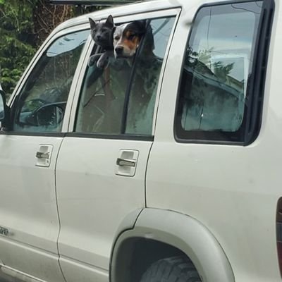 grumpieoldman60's profile picture. Independent. Heavy on the sarcasm. Doesn't need a party to follow. Came for the popcorn, stayed for the show. Living life in the PNW