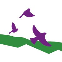 FrogstonPS(@FrogstonPS) 's Twitter Profile Photo FrogstonPS(@FrogstonPS) 's Twitter Profile Photo