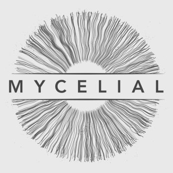 Digital art gallery supporting scientific mycological research. Next drop ‘Hyphae’ by Scott Darby is on 10th December. Join us: https://t.co/rndtSJ0jeT