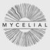 Mycelial Gallery (@MycelialGallery) Twitter profile photo