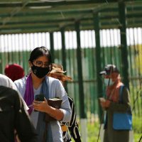 Mrinalini Santhanam (She/her) (@minisaint) 's Twitter Profile