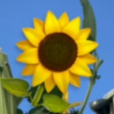 Rena 相互 名言 人は乗り越えられない壁は与えられない 瀬古利彦 Rena 相互 名言 人は乗り越えられない壁は与えられない 瀬古利彦