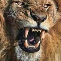 Abo Firoz (@abo_firoz) 's Twitter Profile