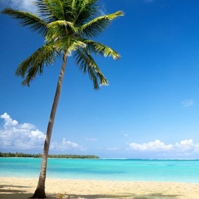 Palmettobreeze Profile