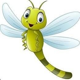 thattanpoochchi's profile picture. தட்டானுக்கு சட்டை போட முடியாது...