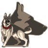 WallinOaksK9s (@k9soaks) 's Twitter Profile