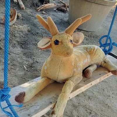 Vijay94725420's profile picture. hot