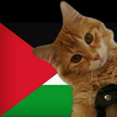 funnymeowslim's profile picture. Piyaar kiya toh darna kiya