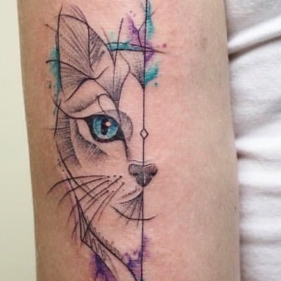 ladycat's profile picture. 