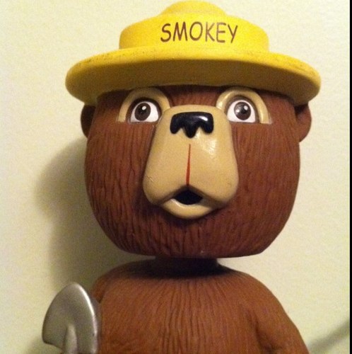 SoMuchToSay919's profile picture. North Carolinian. Tar Heel. Music Junkie. Vinyl Lover. Son. Brother. Husband. Fundraiser. These are in no order of importance. Opinions are my own.