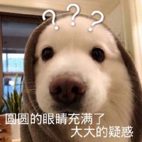 tom1993 (@tom199312) 's Twitter Profile