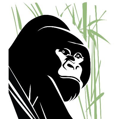 Gorilla Doctors provides life-saving veterinary care to mountain and Grauer's #gorillas in Rwanda, Uganda & DR Congo. #savingaspecies