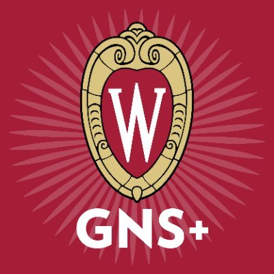 GNS+