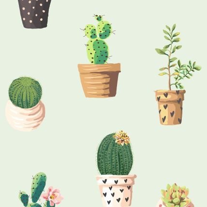 🌵🌵🌵