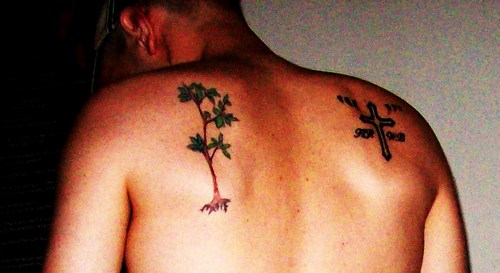 BenderJason's profile picture. Let's change the world! Time is cyclical. Marijuana advocate. Interested in political and world issues. Spiritual. Pirate.