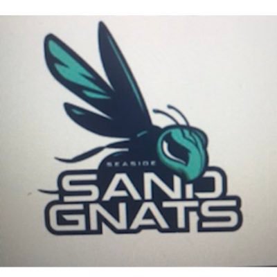 gnats_sand Profile Picture