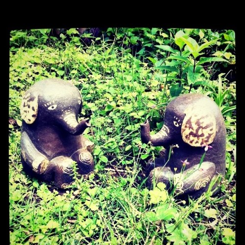 teiku15m's profile picture. 設計士です。アクアリウムやってます。