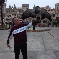 ORLANDO DAVILA (@ordaba) 's Twitter Profile