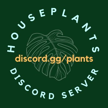 Discord's only partnered houseplants server!