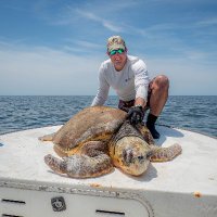 Dr. Matt Ware (@mattware_phd) 's Twitter Profile