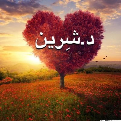 دكتوراه في الإدارة التربوية والتخطيط لتقديم الاستشارات الإداريةوالسلوكية(حساب شخصي)