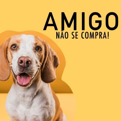 Campanha de duração até 19/06, com objetivo de promover o incentivo a adoção de pets. #amigonaosecompra