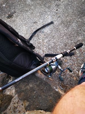 BassinKent's profile picture. New to Bass fishing. Would love some tips and advice about catching Bass around the North Kent coast