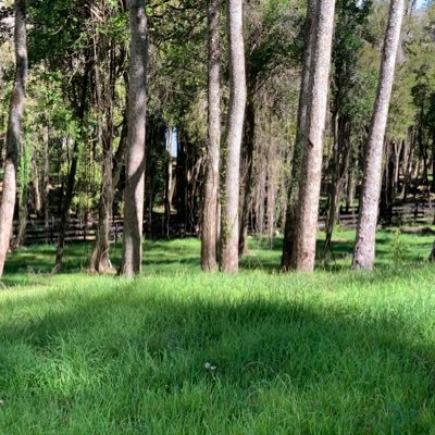 Emprendedor por naturaleza. Creo en una sociedad libre pero sin abusos. Trato de ser objetivo y empatizar con las distintas realidades.