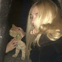RockNRoll (@asrlo_) 's Twitter Profile