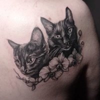 Pilar (Pili) Albarran 📚🎧🐈‍⬛🐈‍⬛ (@pili28) 's Twitter Profile Photo