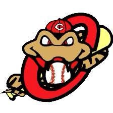 LCopperheads Profile Picture