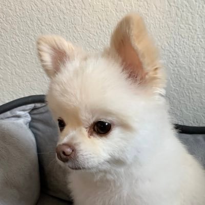 atxinaustin's profile picture. what would it take for you to change your mind