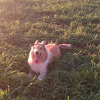 Maria Daniela Garcia (@mariadanygarcia) 's Twitter Profile