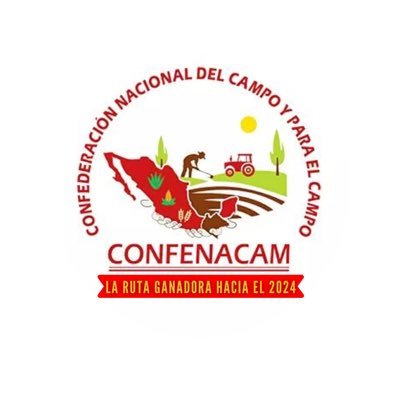 Organización Social Productiva con Visión Empresarial