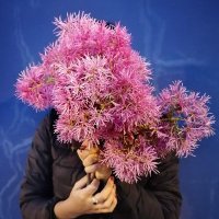 Karen Toro (@karentoroa) 's Twitter Profile