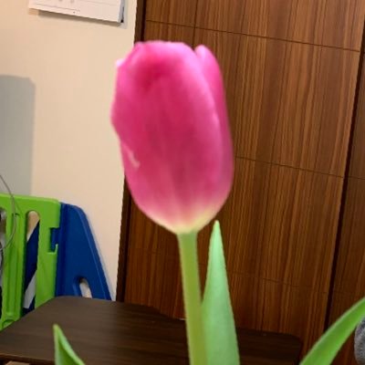 ufuf_'s profile picture. 会社勤めのwebデザイナー。時々時短とフルタイム勤務。さてどうなるか。。webに限らずグラフィックや動画制作も担当。