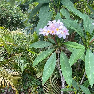 crimatt456's profile picture. Florida attorney, January 6 attorney, gun and lifting enthusiast.