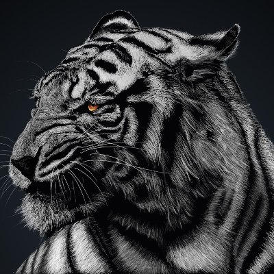 hoshi_amano's profile picture. n/A