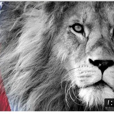 KTF_2021's profile picture. Thank you God!!!  
No foreign born members in Congress!!  No stock purchases for members of congress!  TERM LIMITS!!!
❤️ God bless Charlie Kirk and his family ❤