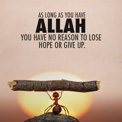 SahilGold4's profile picture. Everyday with alhamdulillah❤️❤️❤️👍