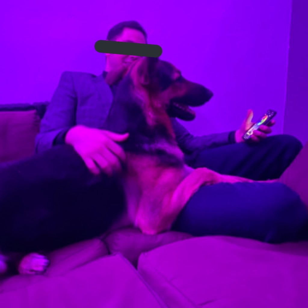 elrolando8's profile picture. Apuestas deportivas por sistema