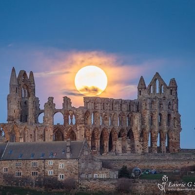 c_montesco's profile picture. Soy ese tipo de amigo que hasta te ayudaría a esconder un cadáver, pero ojo, si me traicionas, recuerda... se como esconder un cadáver