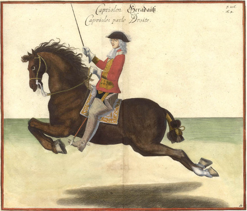 Dressage's profile picture. Hi. I am Shana Ritter, an American Dressage Rider living and training in Germany.